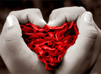 Raccolta delle pi� belle Immagini d'Amore